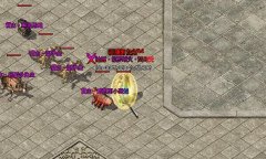 战士玩家如何提升单人作战能力